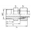 GE04LL1/8NPTA3C,GE06L1/8NPTA3C,GE06L1/4NPTA3C,GE06L3/8NPTA3C,直通接头